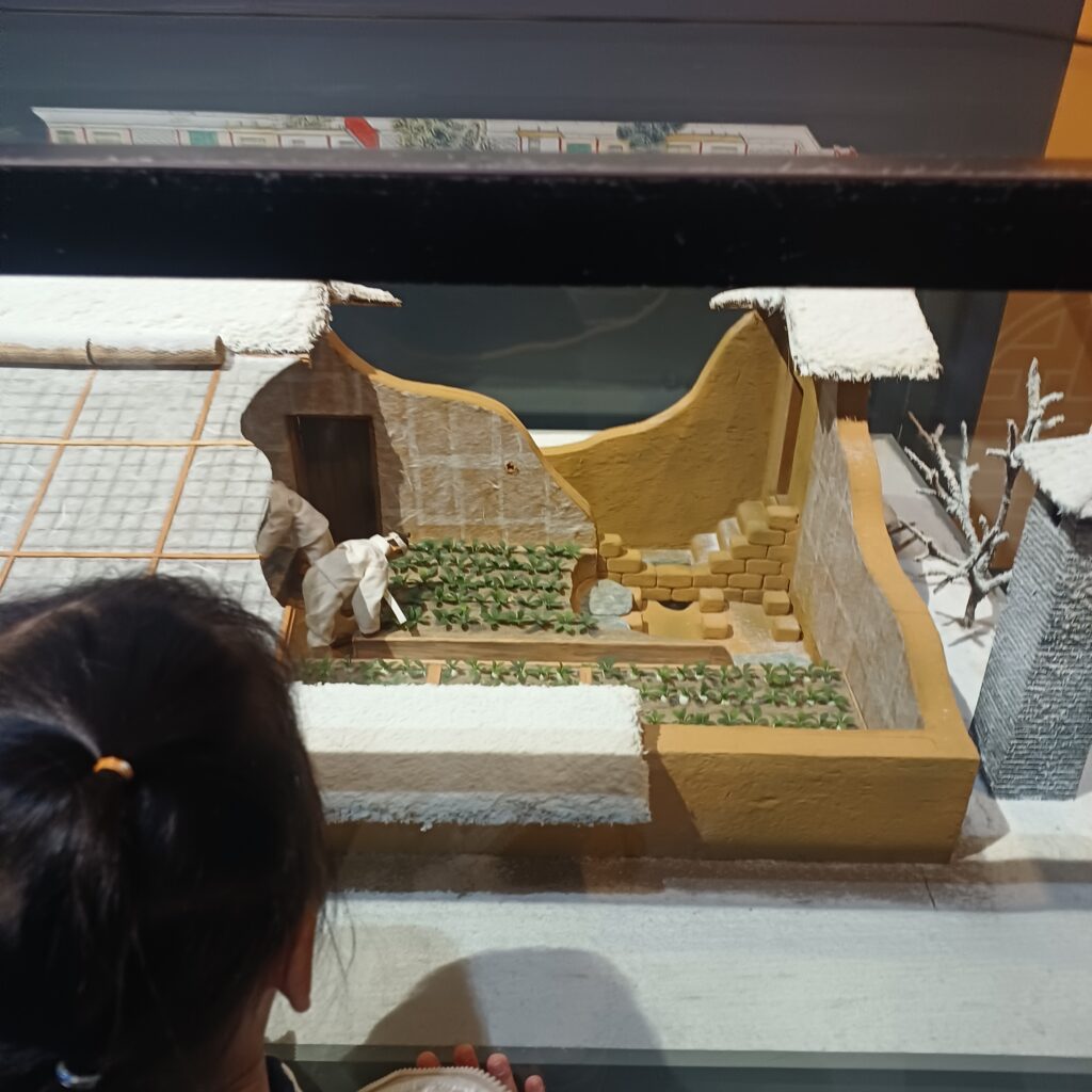 조선시대식 겨울작물 재배 창고