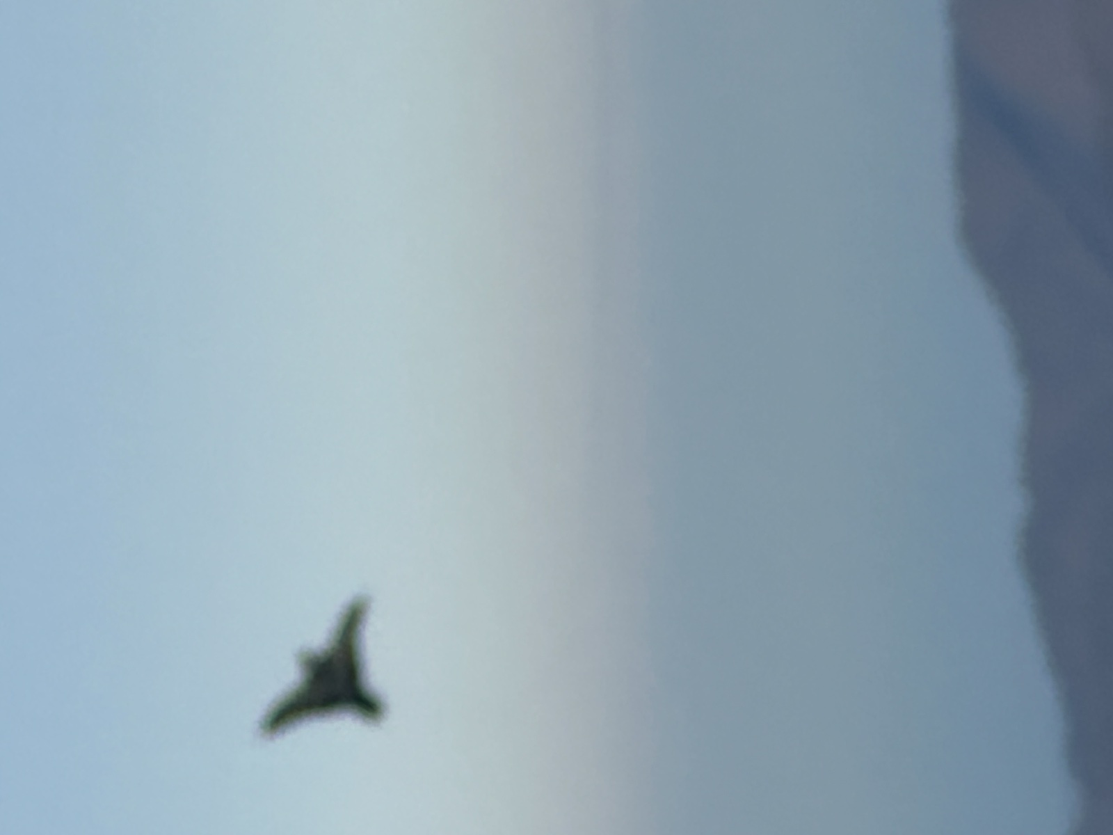 태백산 정상에서 날린 연